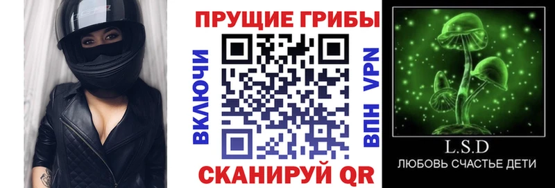 Галлюциногенные грибы Psilocybine cubensis  купить наркоту  Шацк 